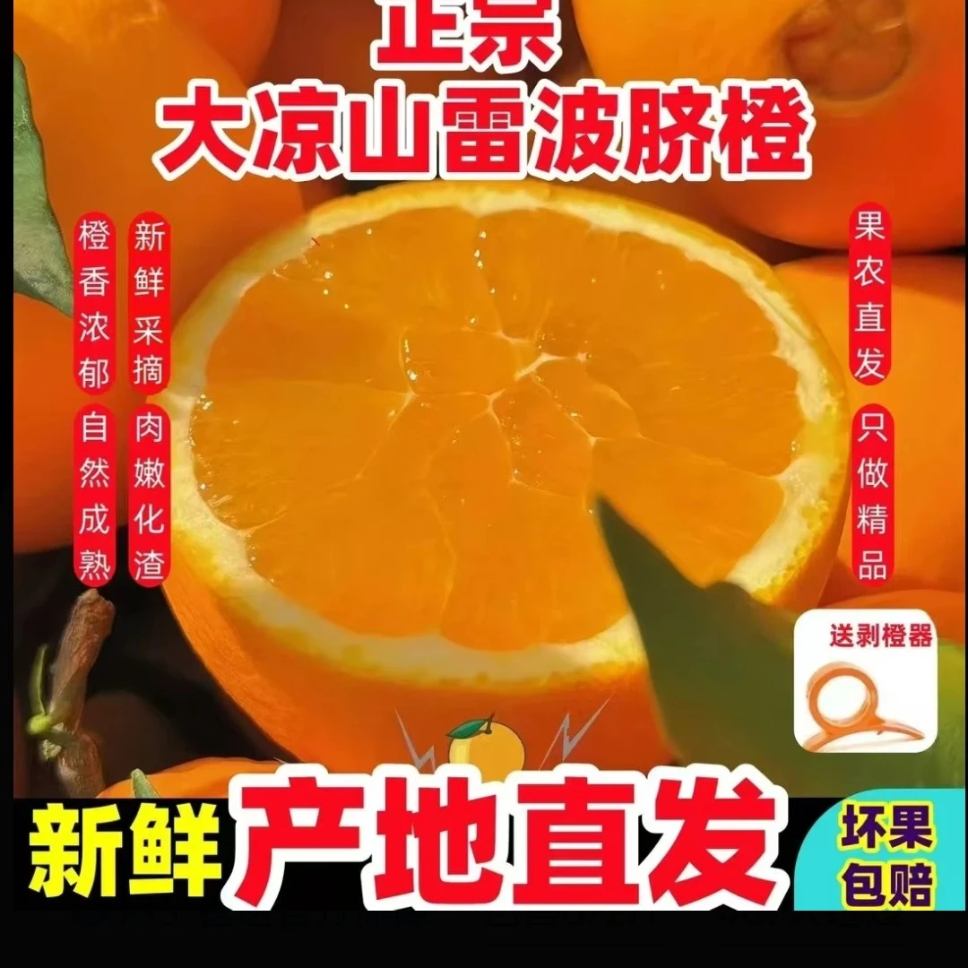 ［精选］雷波纽荷尔雷波脐橙精品果当季新鲜水果产地直发［坏果包赔］