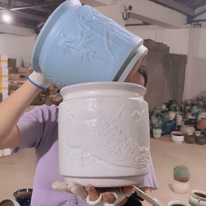 正品20/20两个处理