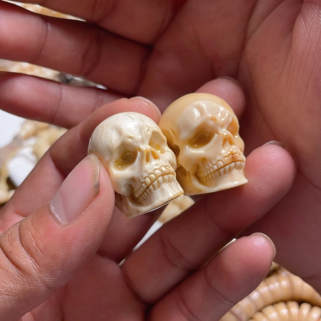 银S925藏区尸陀林