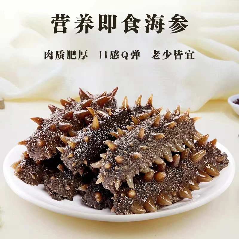 【11-13头/斤】鲜食海参即食大连深海辽刺参海参礼盒非淡干海参干货