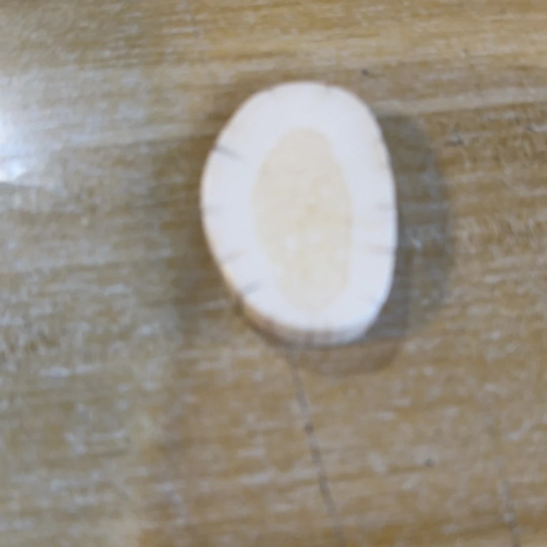 猛犸猛犸虬饼子WT671