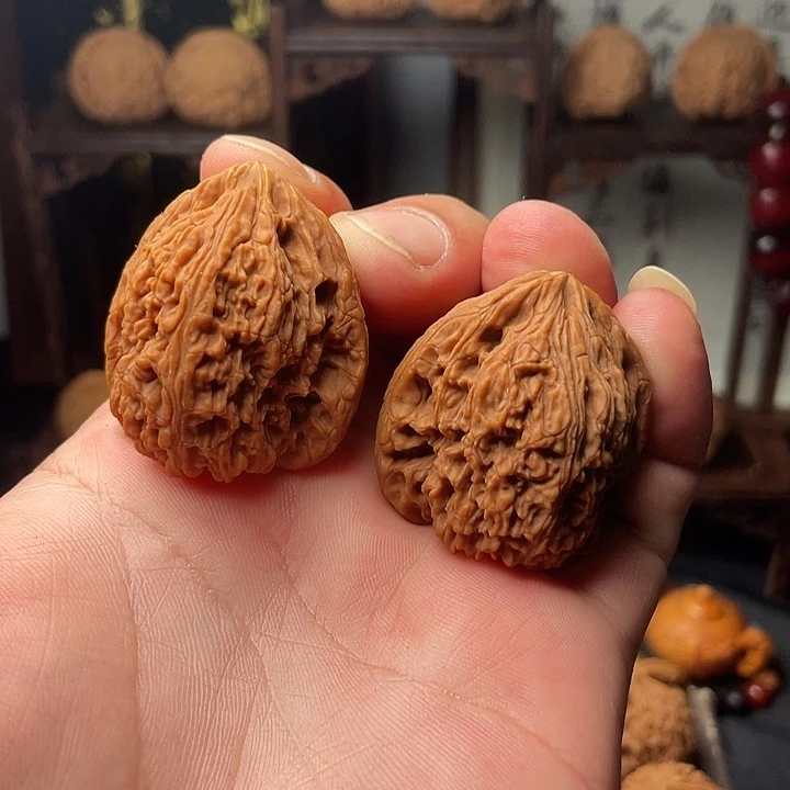 核桃啦咯啦咯啦咯啦咯