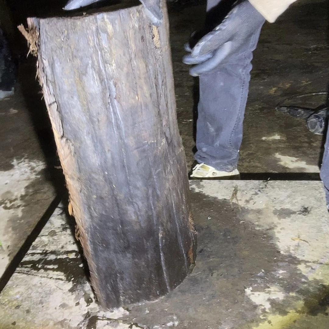 金丝楠阴沉木毛料