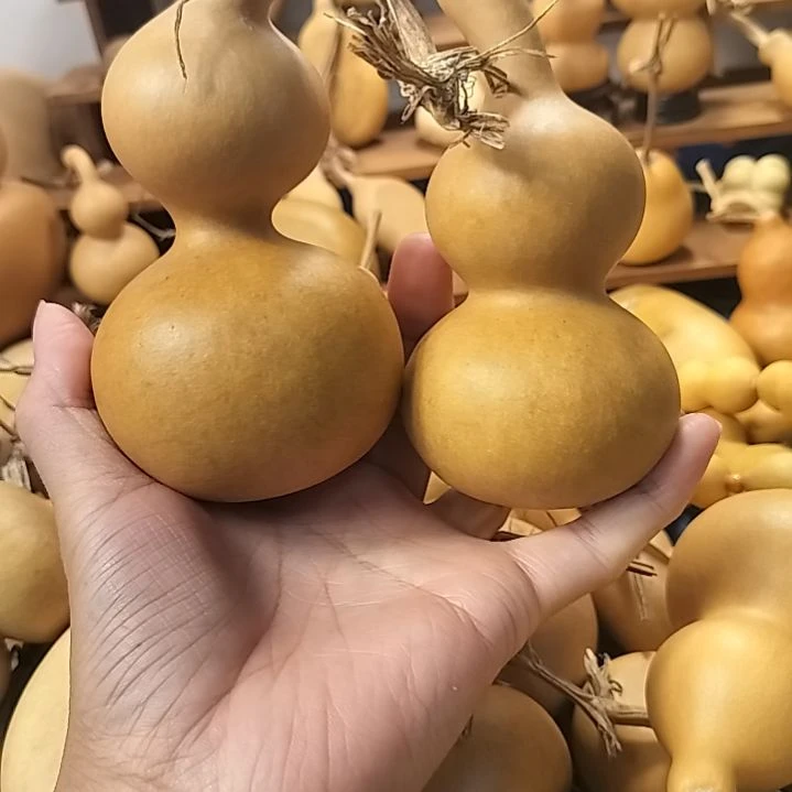 直播间专供链接葫芦