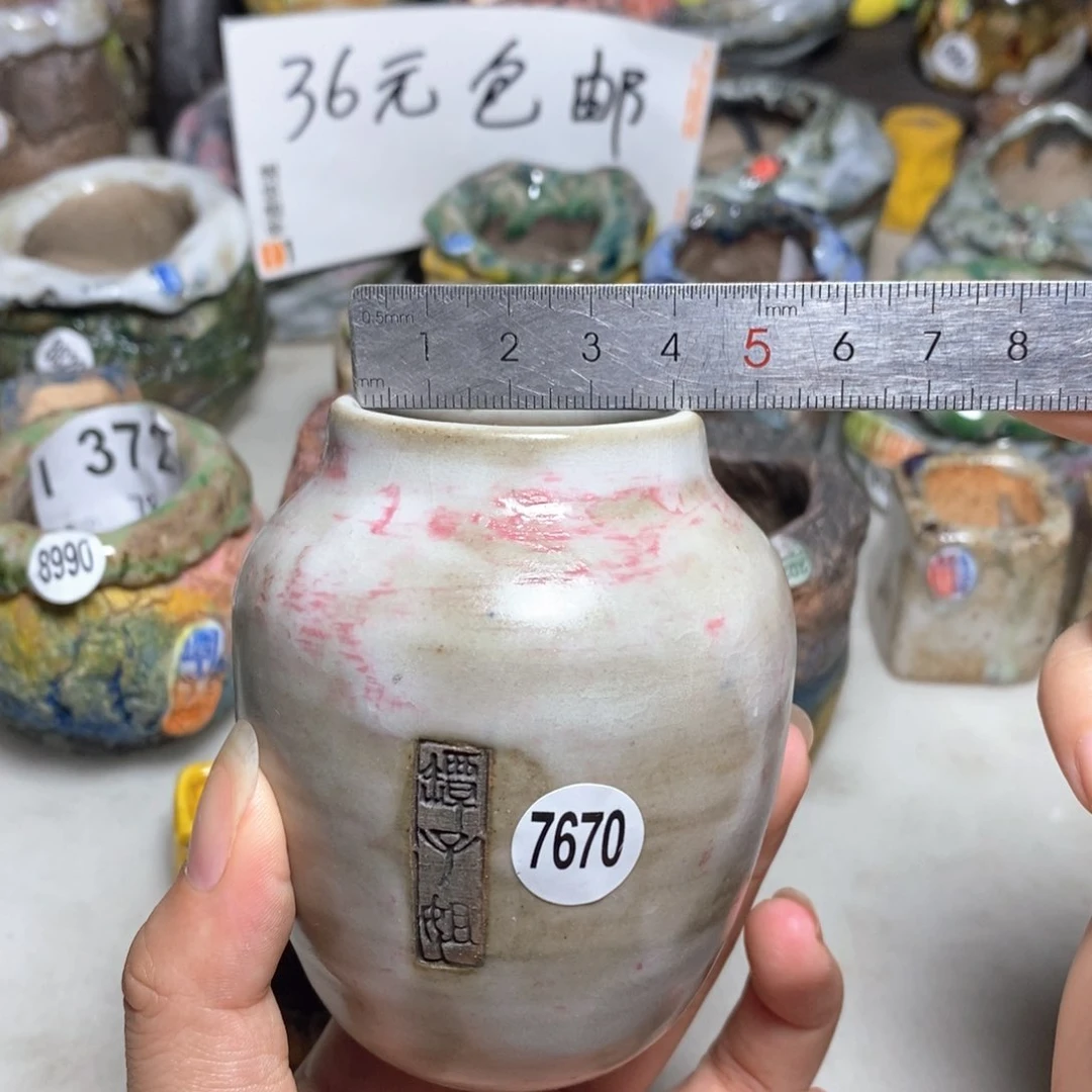 拍3送一个小礼物
