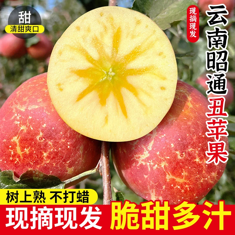 云南丑苹果新鲜现摘脆甜多汁冰糖心富士云南丑苹果圣诞苹果