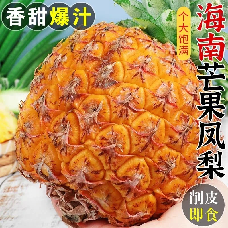 海南芒果凤梨新鲜当季水果香甜多汁手撕无眼菠萝