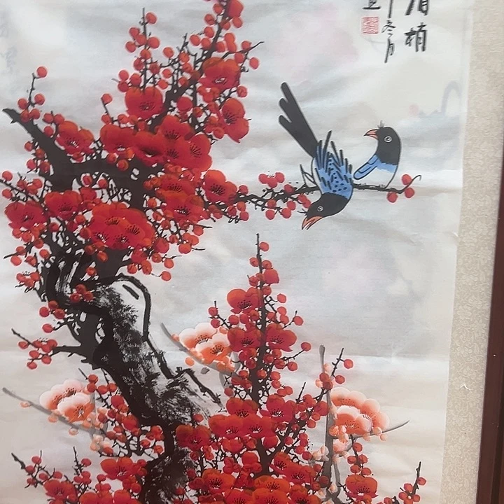 横款新号开播新福利多多