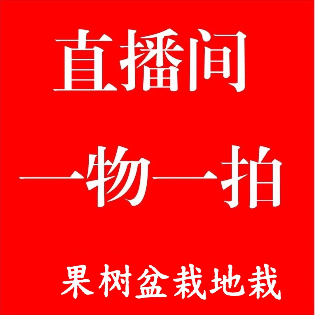 直播间一树一拍随机发货果树商品