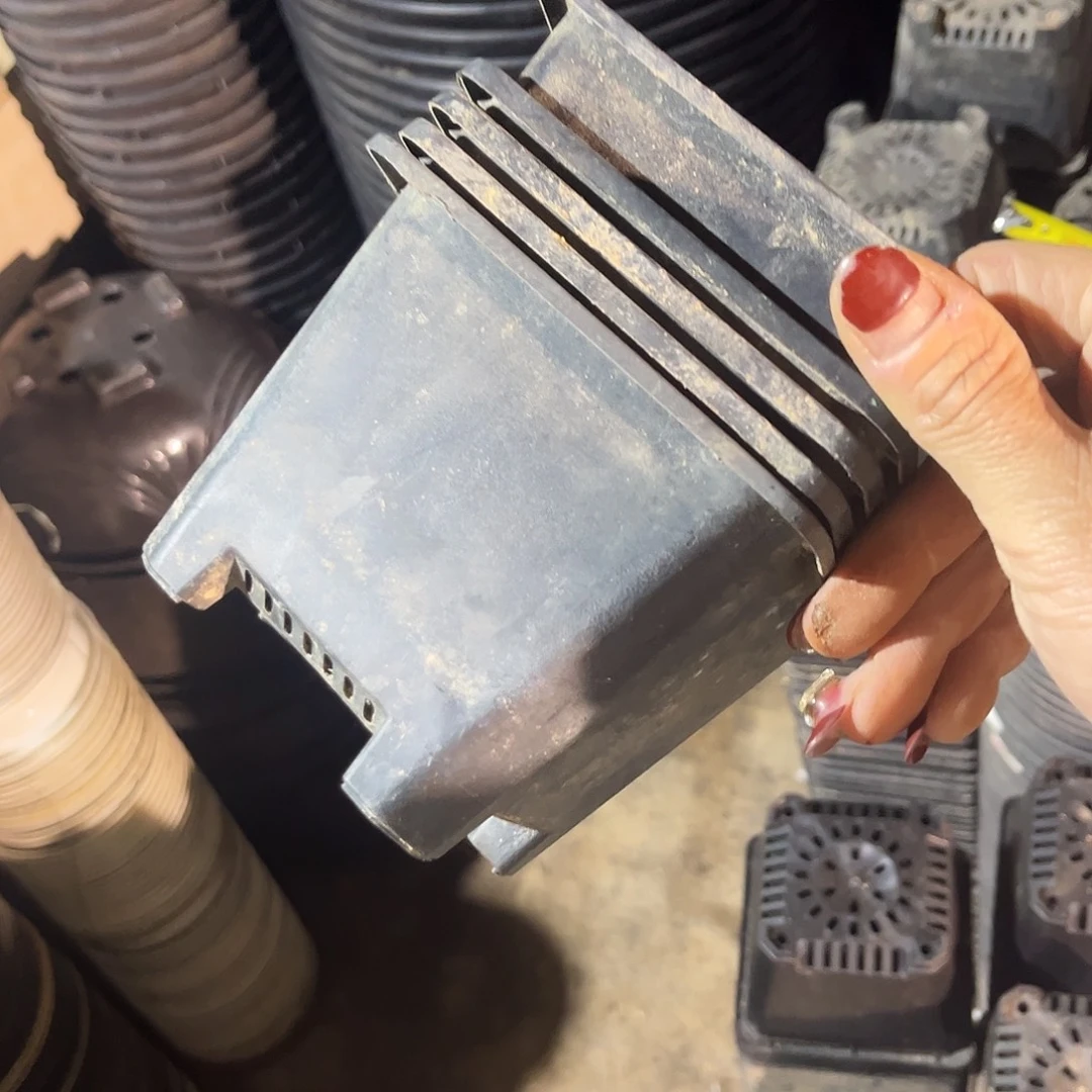 旧口径12高9黑方盆加厚30个