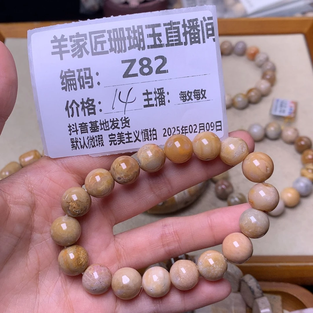 【闪购商品】硅化珊瑚（珊瑚玉）颈饰未镶嵌冰**佬Z82