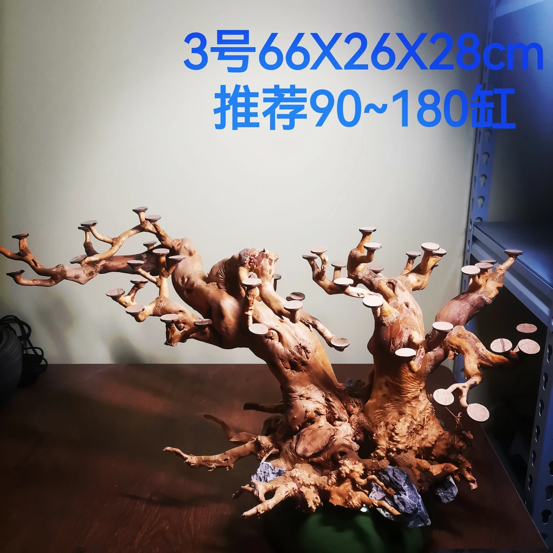 莫斯树骨架/生命之树杜鹃根沉木大型鱼缸造景树一树成景03号