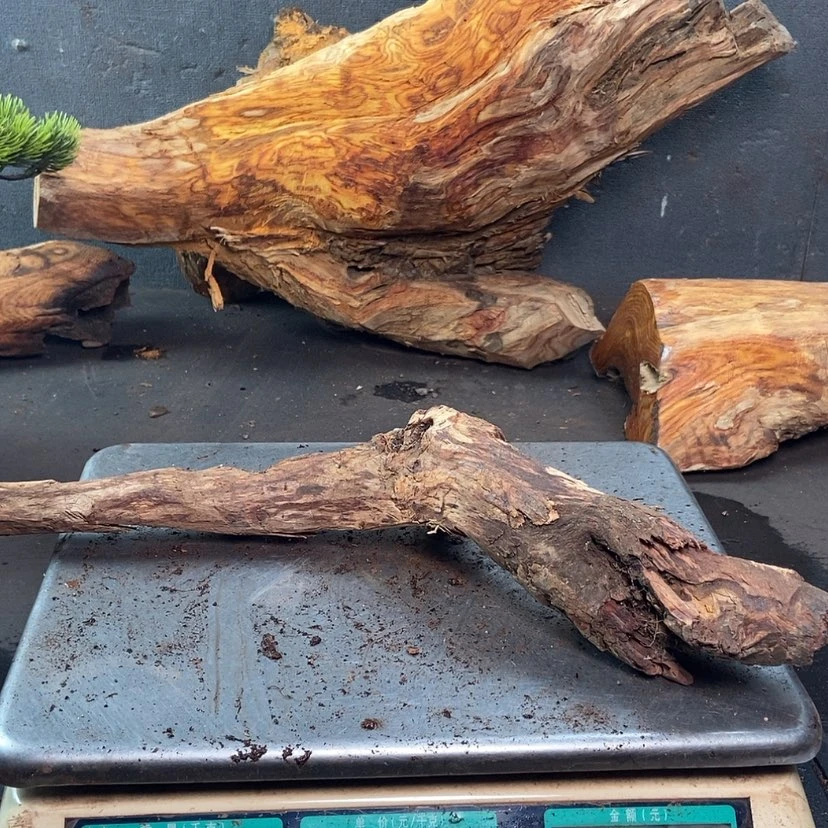 【闪购商品】黄花梨/降香黄檀文*