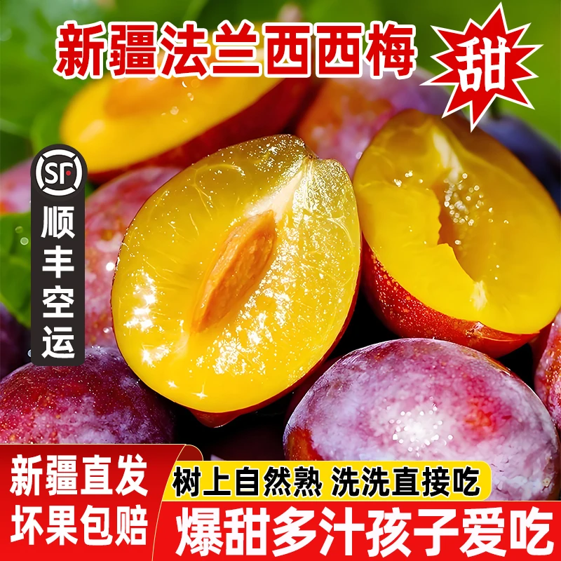 正宗新疆法兰西西梅应季新鲜孕妇水果脆甜李子甜布林顺丰包邮整箱