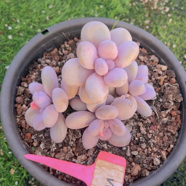 健健康康平平安安