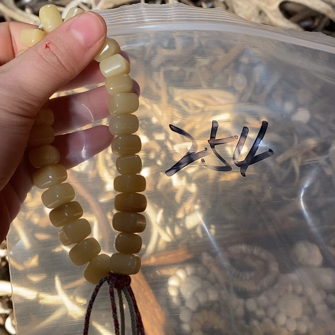 史***子非金属鹿骨鹿骨鹿骨