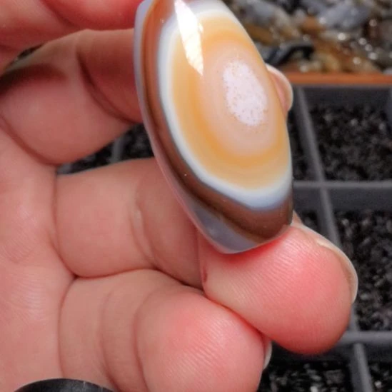 玛瑙/玉髓合金颈饰