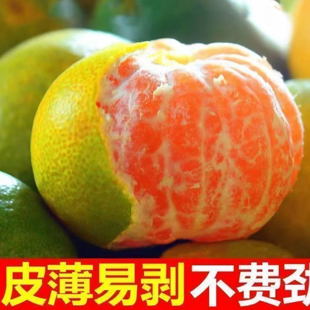 【陆月甄选】正宗涌泉蜜橘，水润多汁，原箱礼盒净果4-4.5斤顺丰包邮浙江省