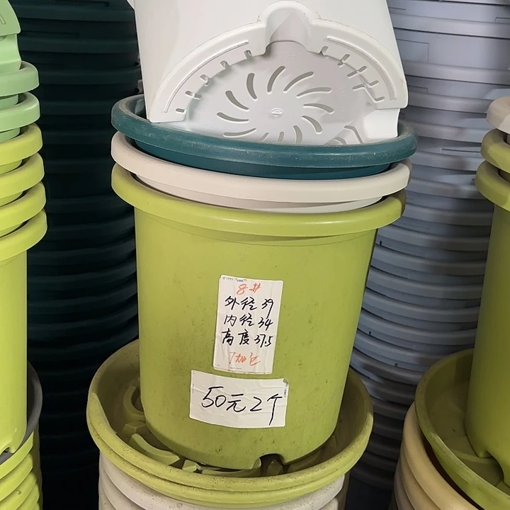 微瑕8#口39无托果绿5个