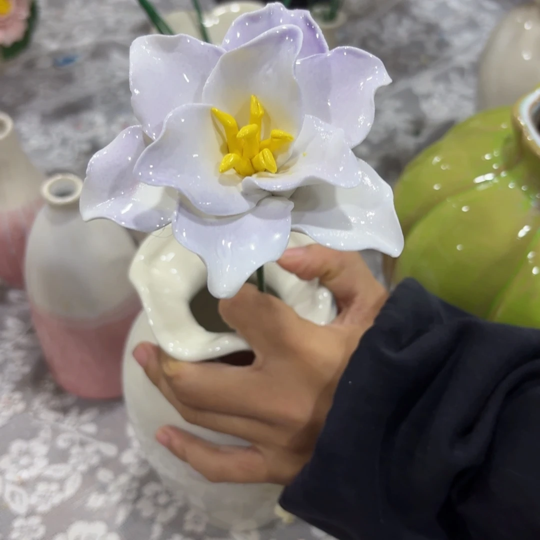 拍满20包邮发货，谨慎下单