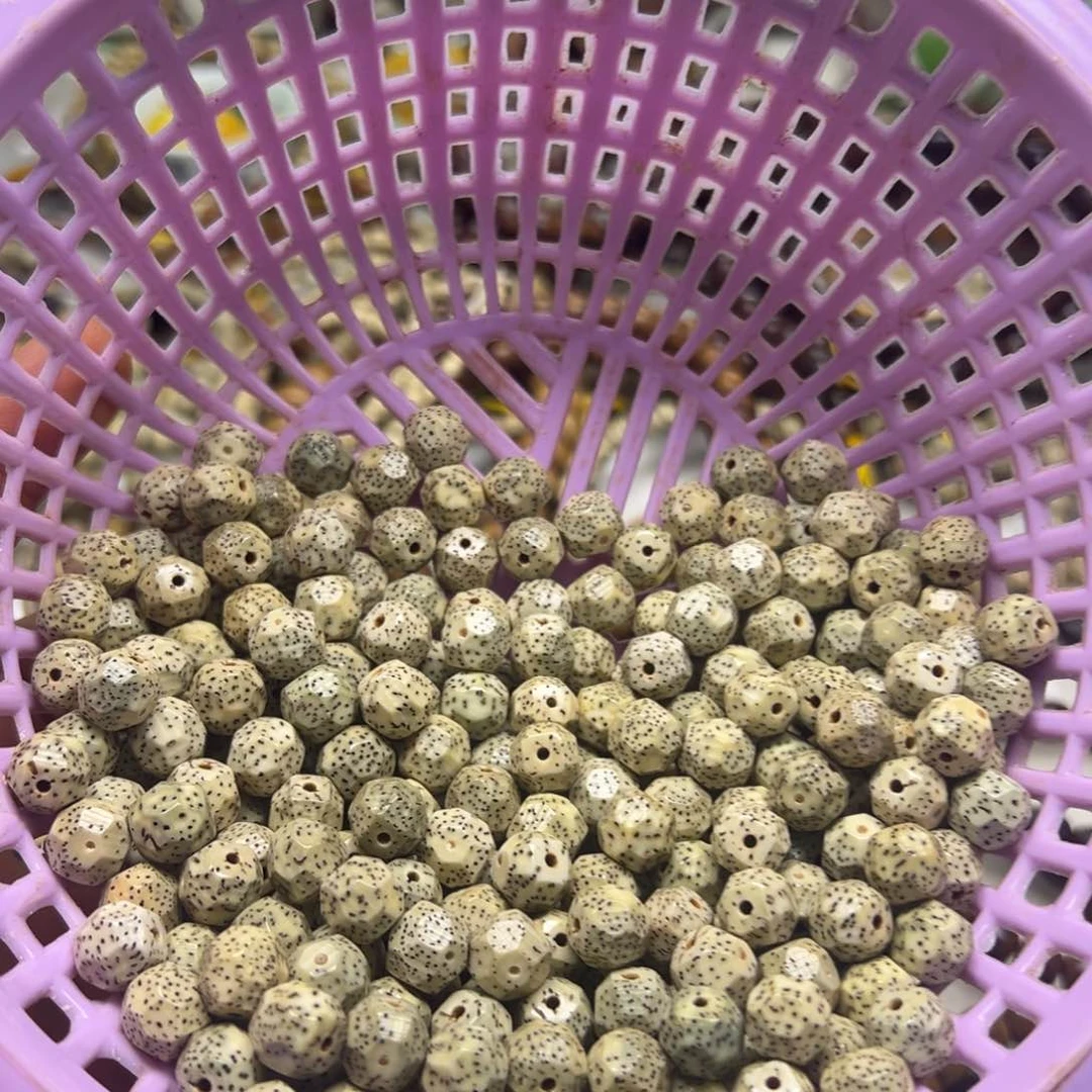 星月菩提吊坠卡10    10无相