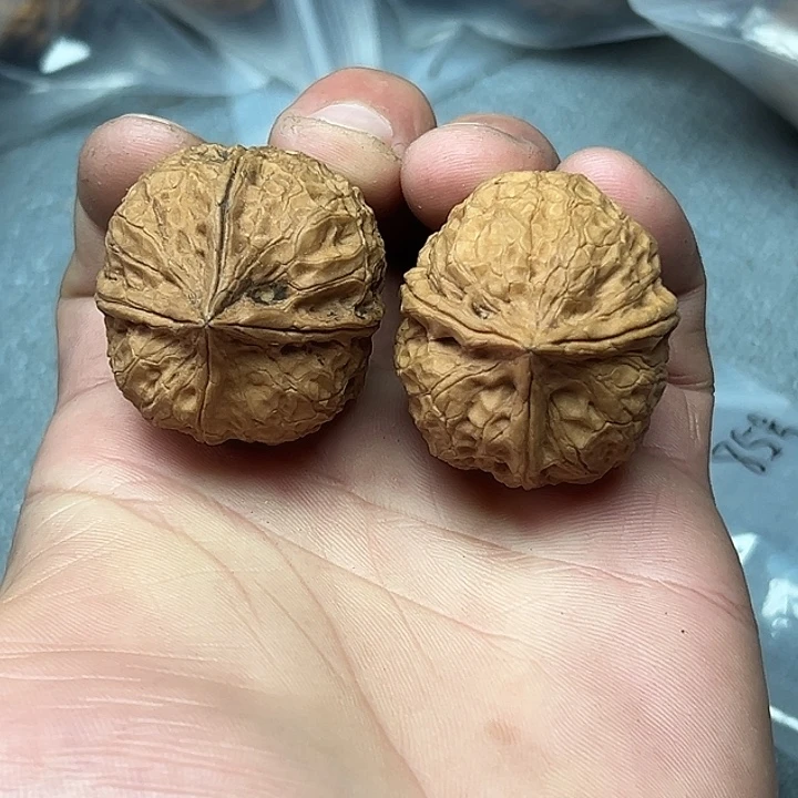 把件文玩核桃85号一三一四34尺