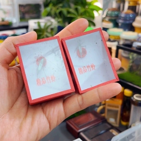 哈哈哈哈哈哈哈哈哈哈哈哈