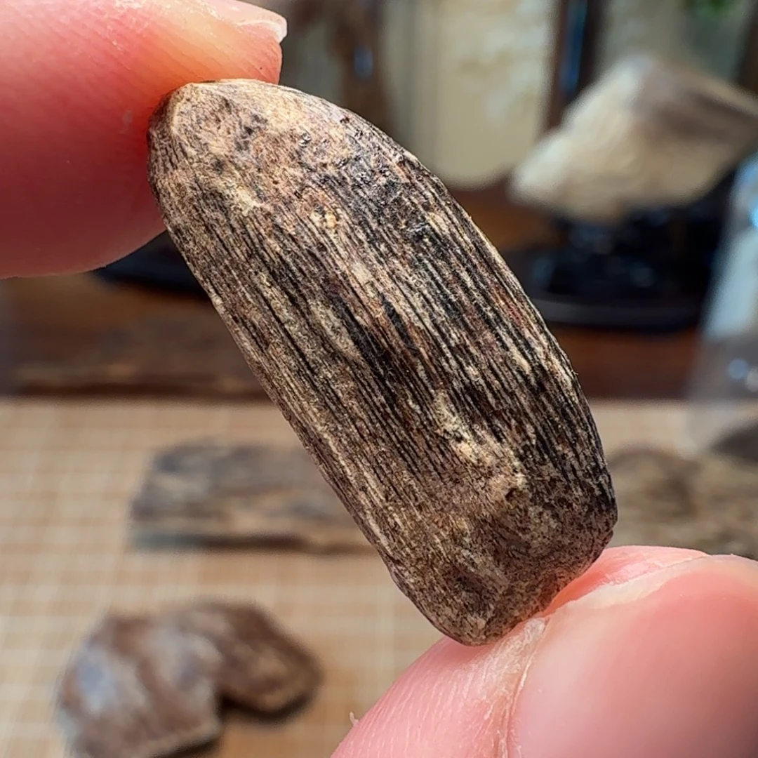 沉香海南黄油格瓜子
