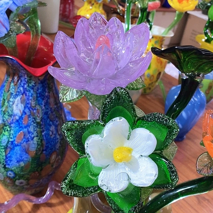 夜光花高45厘米宽12厘米