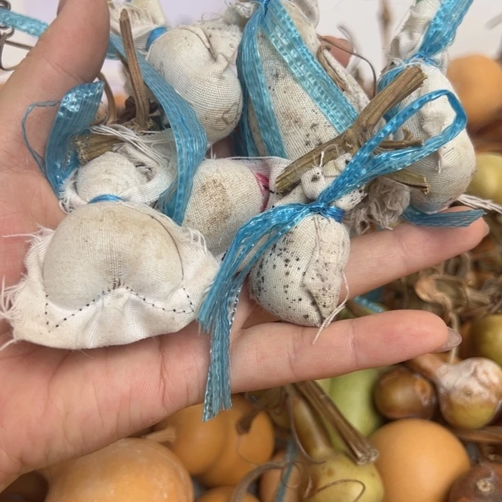 葫芦户葫芦户葫芦回
