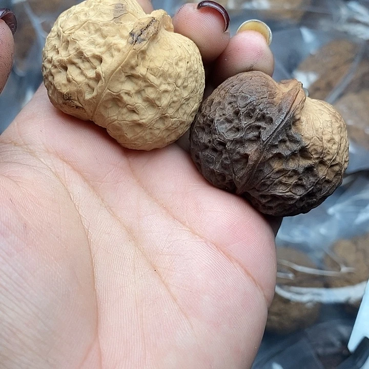 把件文玩核桃69号40mm