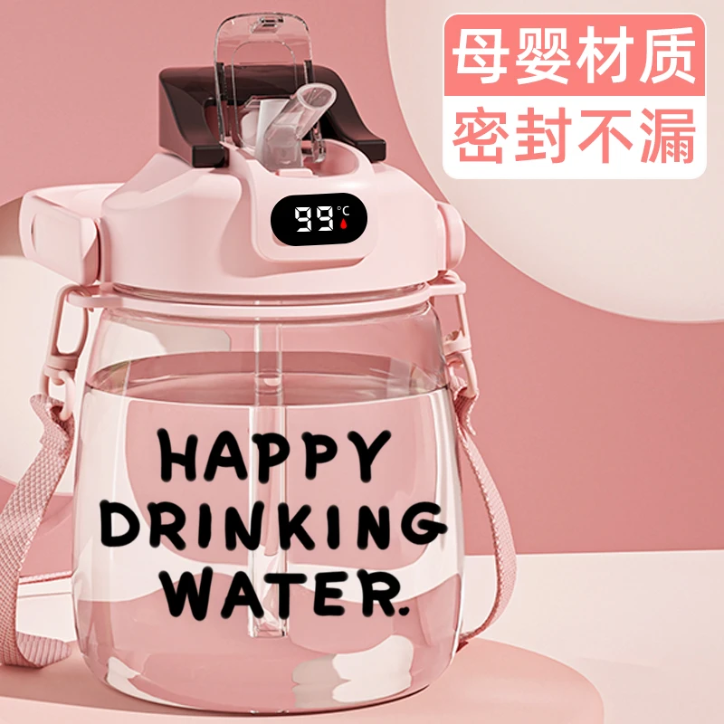 2000ml大肚水杯大容量耐高温2025新款女夏季运动水壶双饮吸管杯男