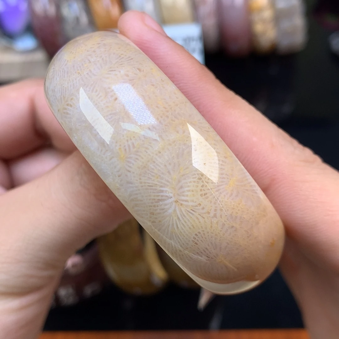 【闪购商品】颈饰未镶嵌硅化珊瑚（珊瑚玉）42号52.2圈奶糖凤尾