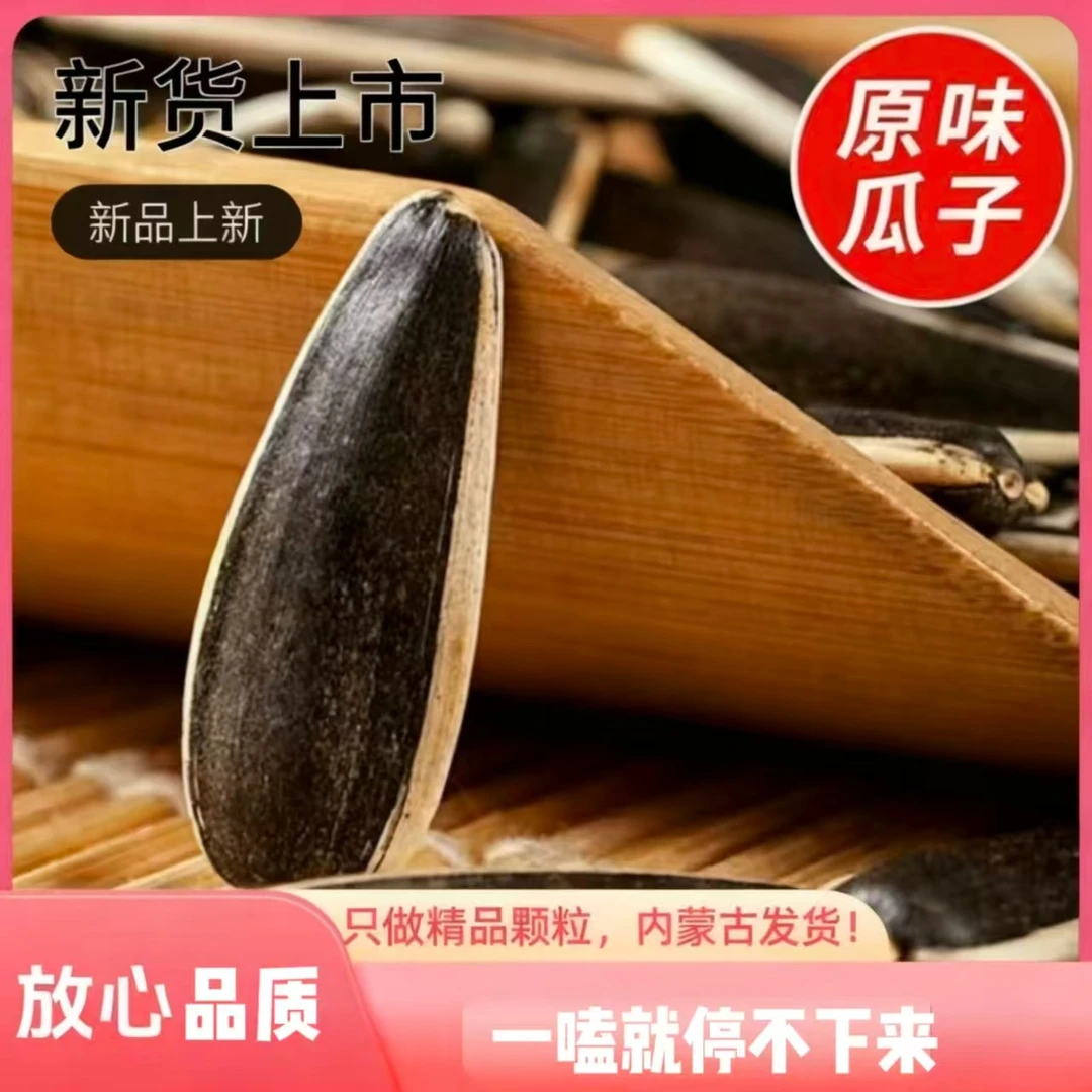 内蒙古精选生瓜子优质大颗粒原味休闲零食产地直发葵花籽颗粒饱满