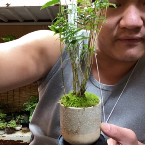 红陶一物一拍所见即所得83