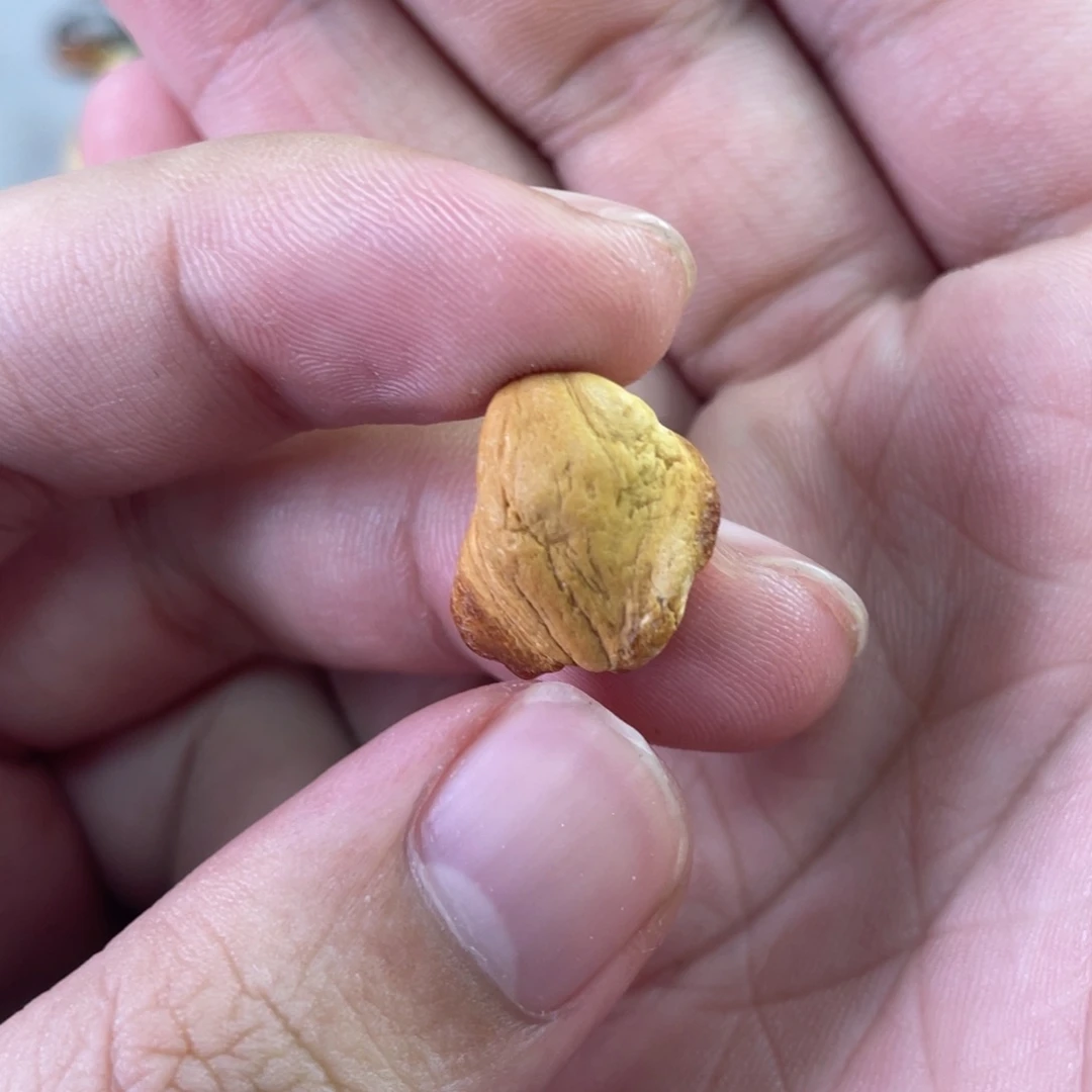定制琥珀天然琥珀8老型