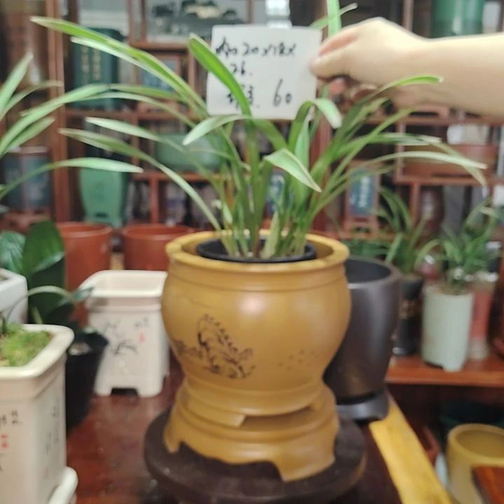 5S:/ 12/26 q@r.eO 【陶霸廊精品紫砂的直播间