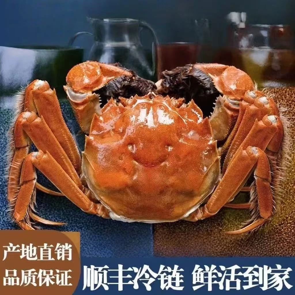 【活蟹】江苏精品河蟹全母2.5-2.8两10只装顺丰包邮