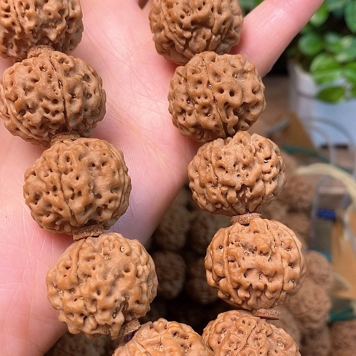 金刚菩提手串22mm古龙头货，矮桩满肉高油高密