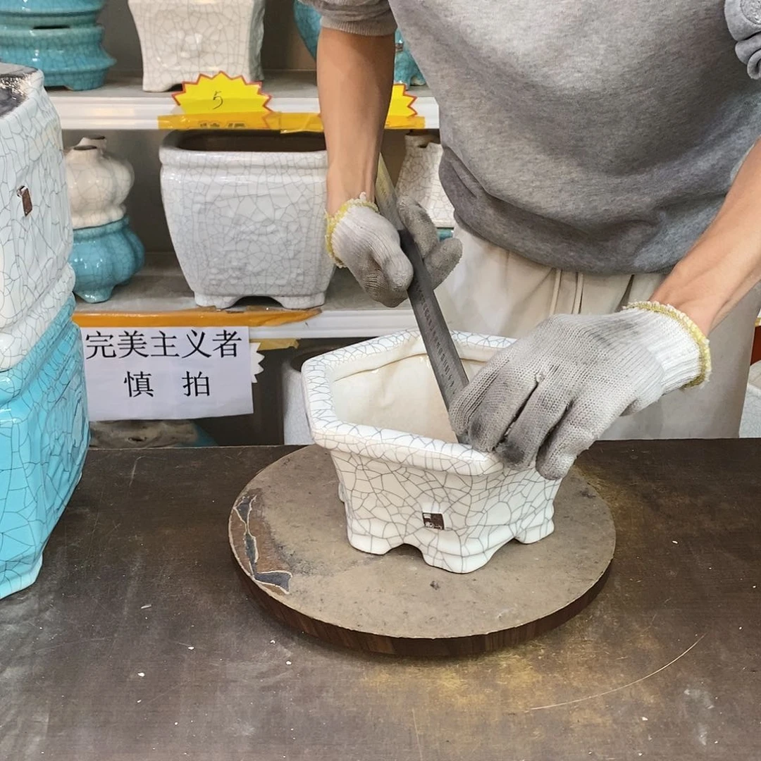 李*亮瑕疵花盆花盆里的花