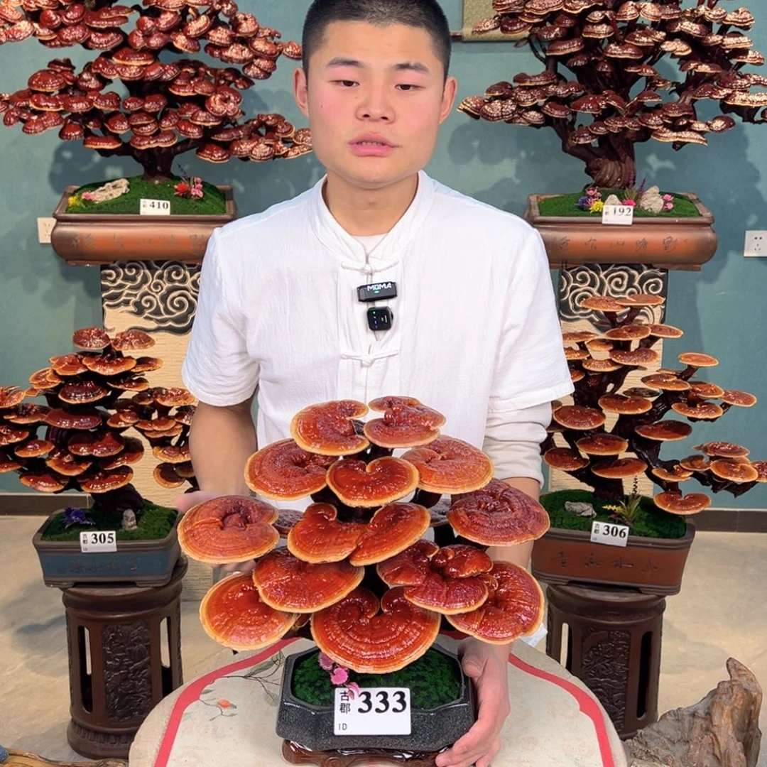 无花朵88888888888