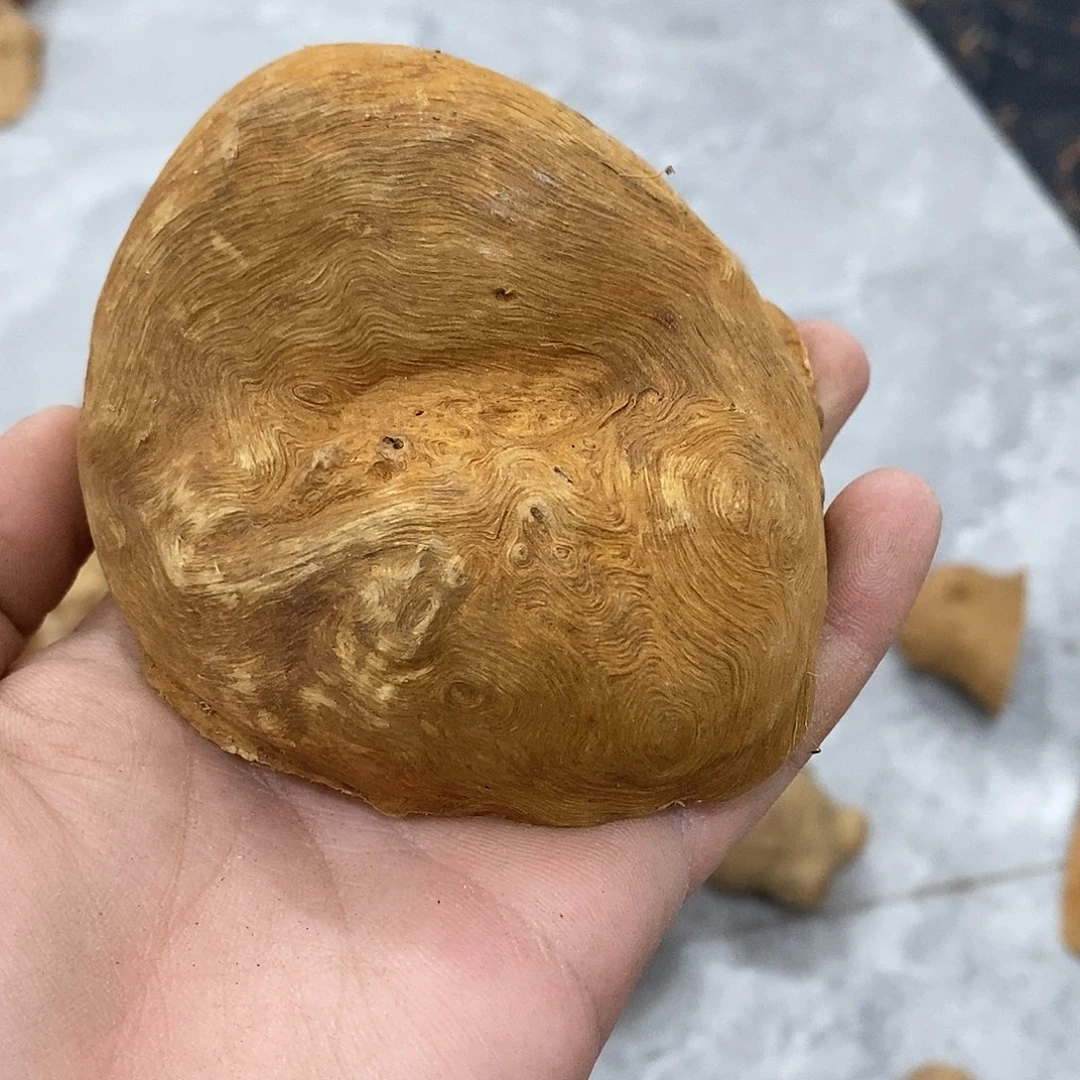 荔枝木小**子荔枝木原料