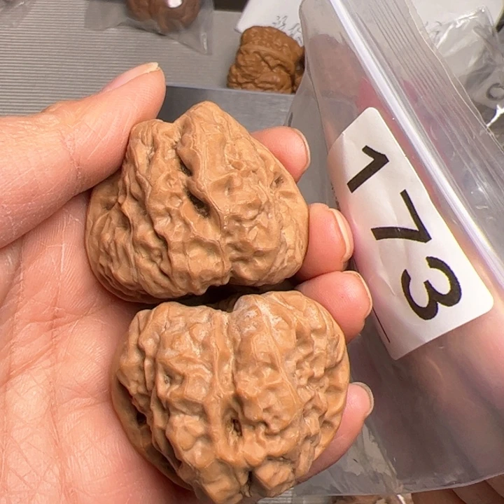 核桃43尺173号45肚51克