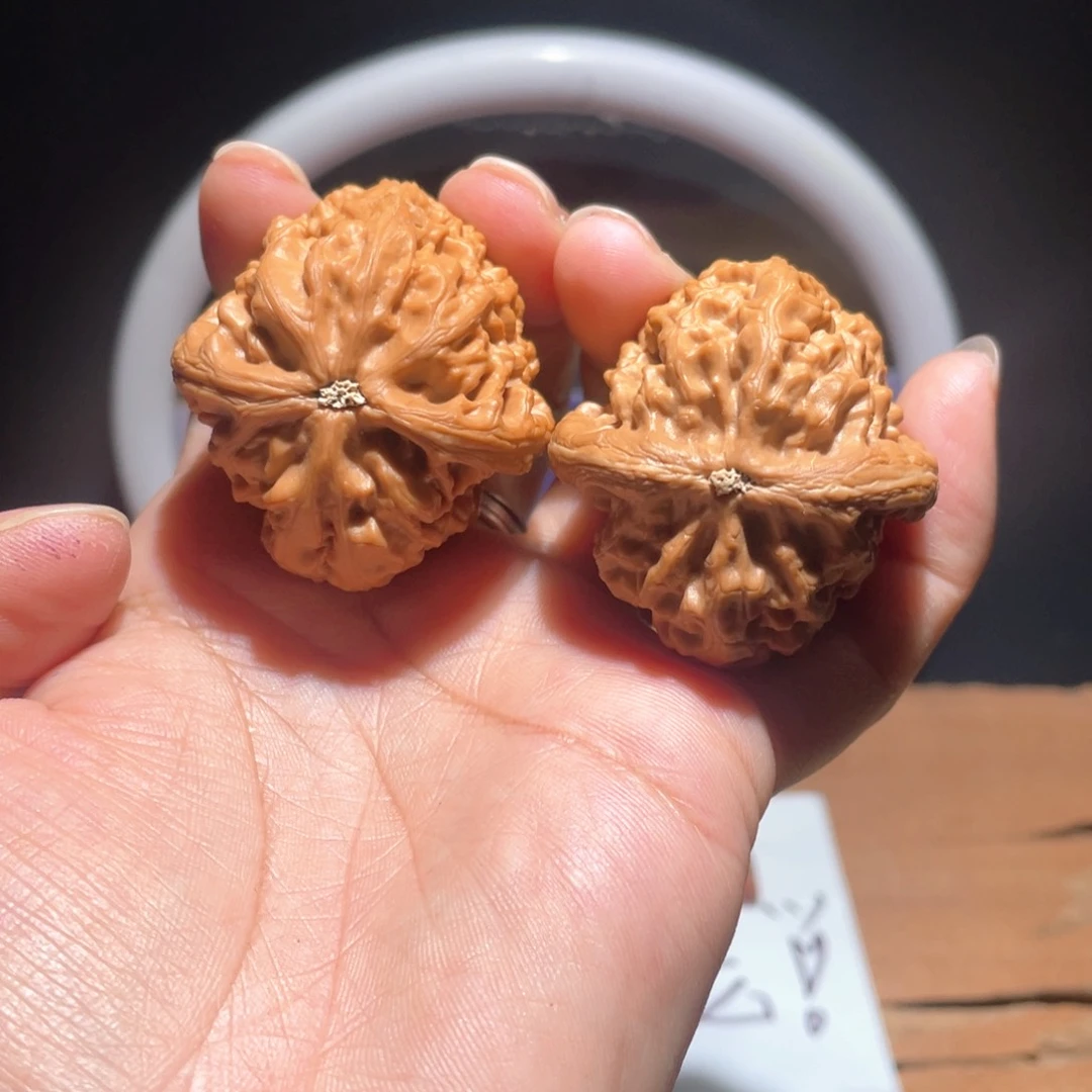 熙**攘S002 42尺 红锦鲤