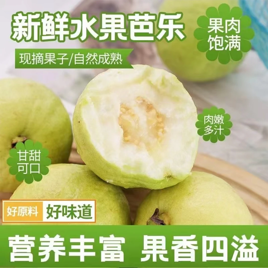 福建漳州软糯冰淇淋奶油白心芭乐番石榴新鲜应季香甜孕妇水果