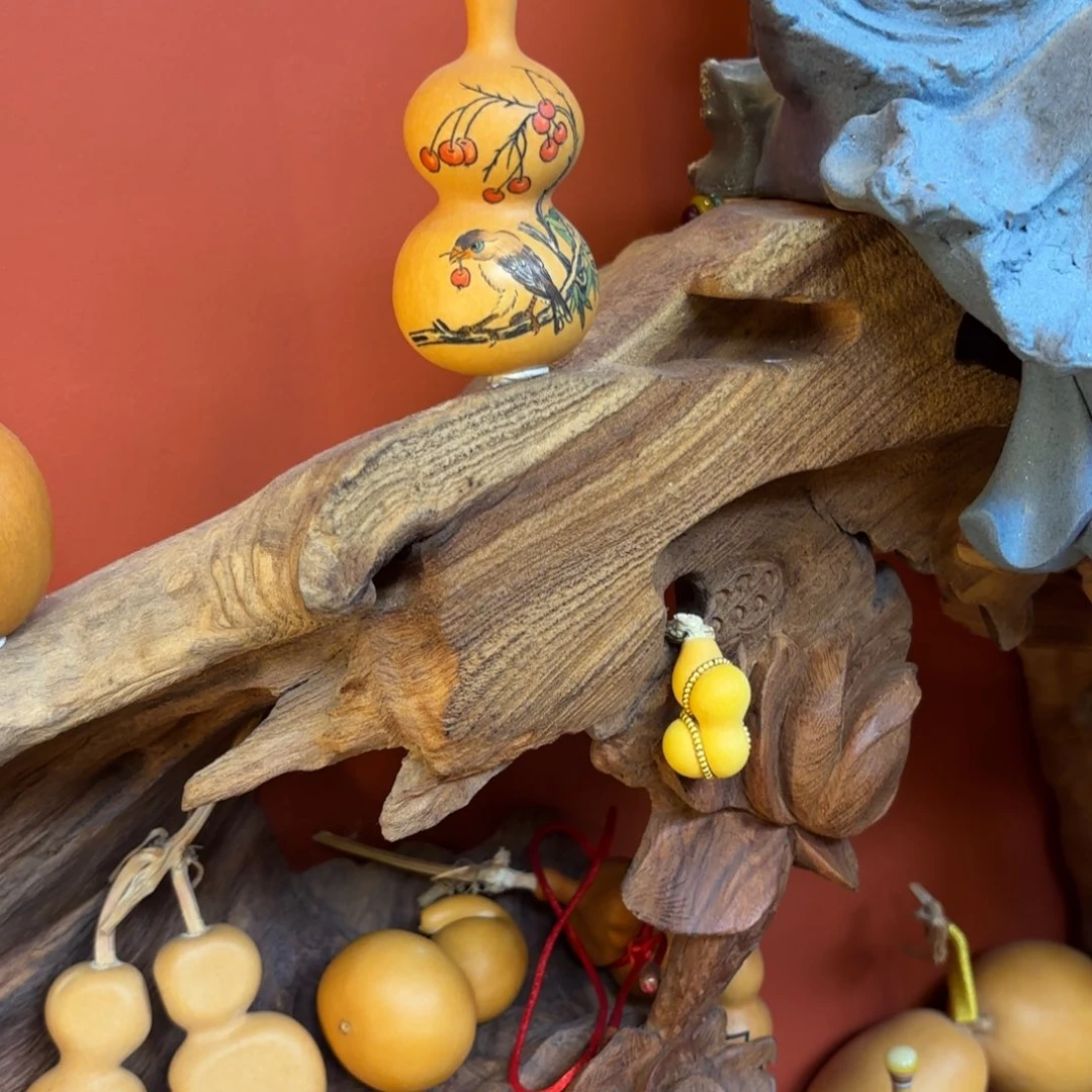 狗***?我们的生活也是如此的丰富多彩啊