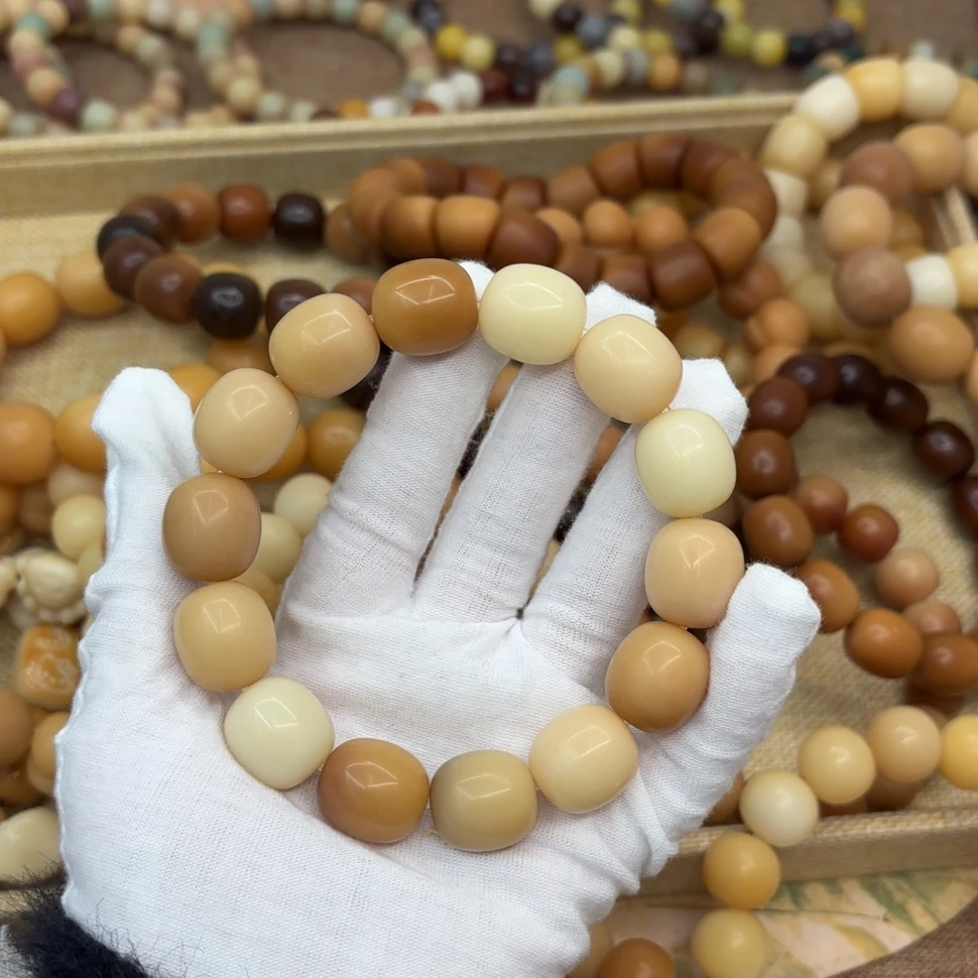 吊坠菩提根/象牙果17+干磨瑕疵落地果枣213