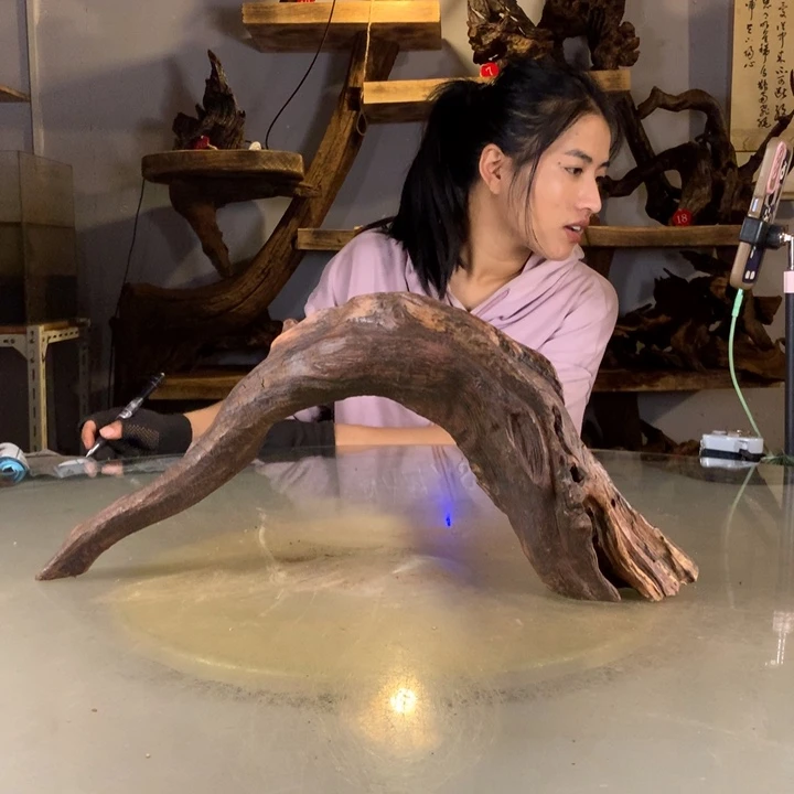 蓬***展云南紫柚木天然沉木