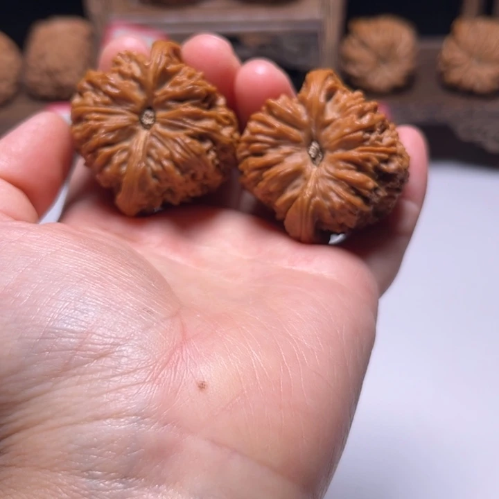 ✎***✘把件文玩核桃41窝底南疆石狮子头微色差