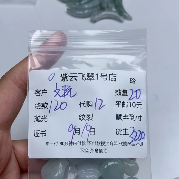 文***件颈饰未镶嵌翡翠天然翡翠